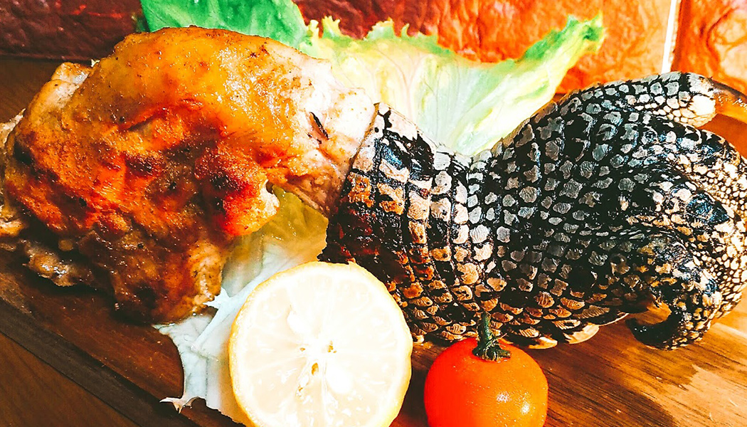 珍しい肉料理をご提供